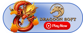 provider slot dragoonsoft