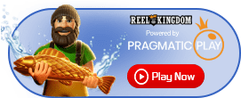 provider slot reel kingdom