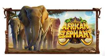 game slot gacor African Elephant™